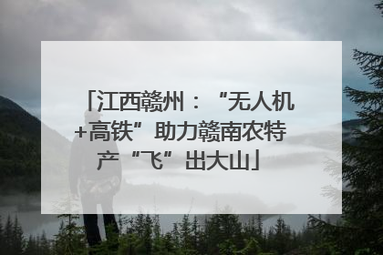 江西赣州：“无人机+高铁”助力赣南农特产“飞”出大山