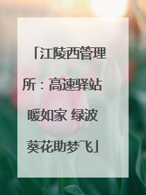 江陵西管理所：高速驿站暖如家 绿波葵花助梦飞