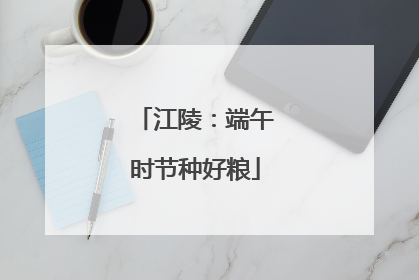江陵：端午时节种好粮