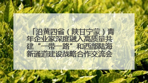 沿黄四省（陕甘宁蒙）青年企业家深度融入高质量共建“一带一路”和西部陆海新通道建设战略合作交流会在甘肃兰州召开