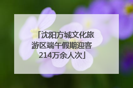 沈阳方城文化旅游区端午假期迎客214万余人次