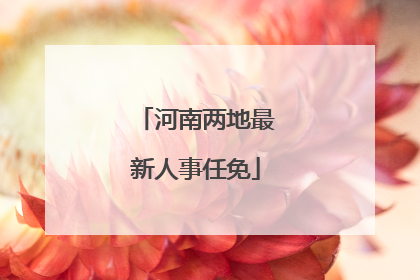 河南两地最新人事任免