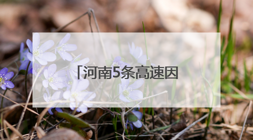 河南5条高速因降雨禁止危险品运输车辆上站！