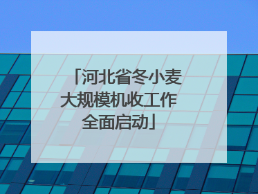 河北省冬小麦大规模机收工作全面启动