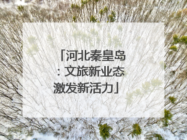 河北秦皇岛：文旅新业态激发新活力