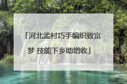河北孟村巧手编织致富梦 技能下乡助增收