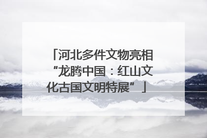 河北多件文物亮相“龙腾中国：红山文化古国文明特展”