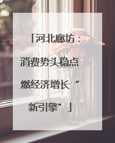 河北廊坊：消费势头稳点燃经济增长“新引擎”