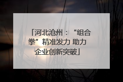 河北沧州：“组合拳”精准发力 助力企业创新突破