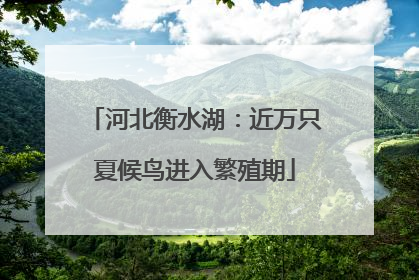 河北衡水湖：近万只夏候鸟进入繁殖期