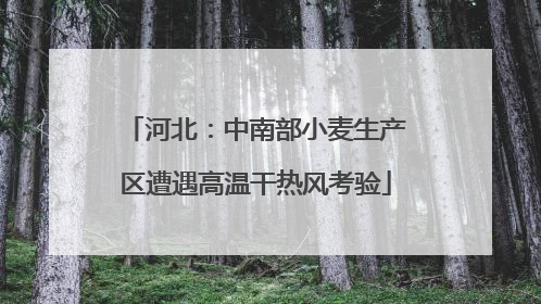 河北：中南部小麦生产区遭遇高温干热风考验