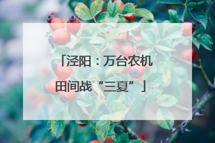 泾阳：万台农机田间战“三夏”