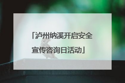 泸州纳溪开启安全宣传咨询日活动