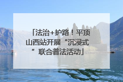 法治+护路！平顶山西站开展“沉浸式”联合普法活动