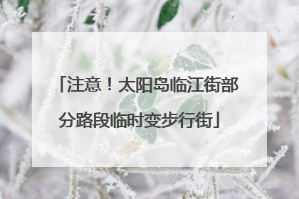 注意！太阳岛临江街部分路段临时变步行街