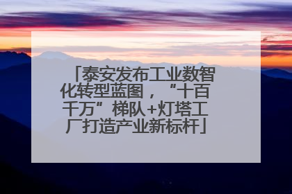 泰安发布工业数智化转型蓝图，“十百千万”梯队+灯塔工厂打造产业新标杆