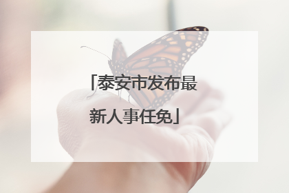 泰安市发布最新人事任免