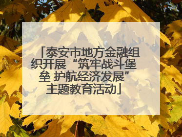 泰安市地方金融组织开展“筑牢战斗堡垒 护航经济发展”主题教育活动
