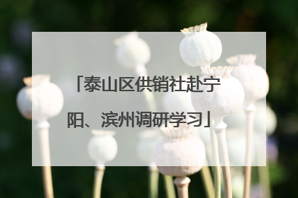 泰山区供销社赴宁阳、滨州调研学习