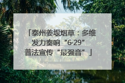 泰州姜堰烟草：多维发力奏响“6·29”普法宣传“最强音”