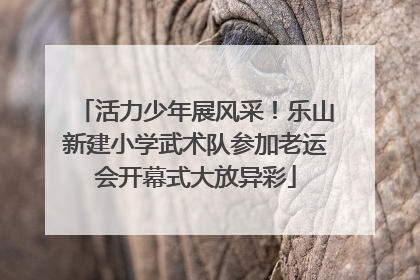 活力少年展风采！乐山新建小学武术队参加老运会开幕式大放异彩