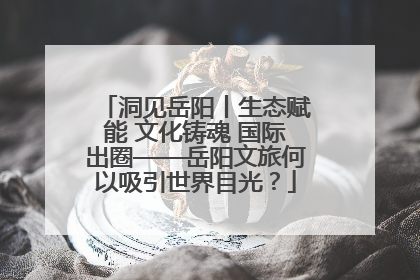 洞见岳阳丨生态赋能 文化铸魂 国际出圈——岳阳文旅何以吸引世界目光？