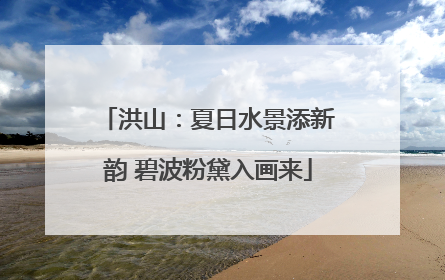 洪山：夏日水景添新韵 碧波粉黛入画来