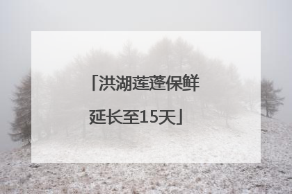 洪湖莲蓬保鲜延长至15天