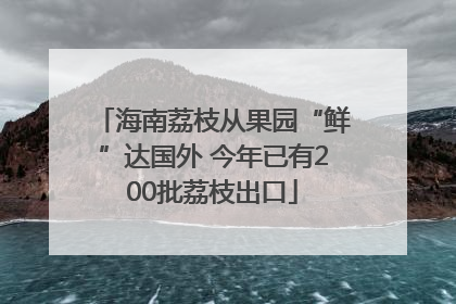 海南荔枝从果园“鲜”达国外 今年已有200批荔枝出口