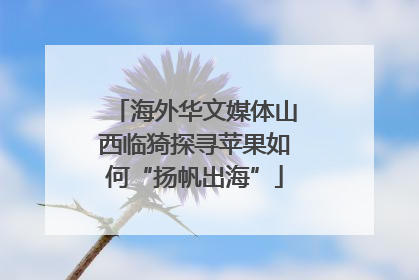 海外华文媒体山西临猗探寻苹果如何“扬帆出海”