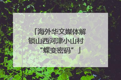 海外华文媒体解锁山西河津小山村“蝶变密码”
