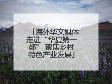 海外华文媒体走进“华夏第一都” 聚焦乡村特色产业发展