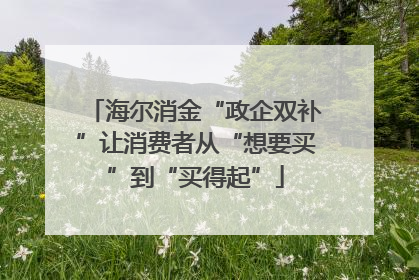 海尔消金“政企双补”让消费者从“想要买”到“买得起”
