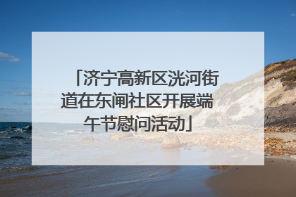 济宁高新区洸河街道在东闸社区开展端午节慰问活动