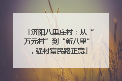 济阳八里庄村：从“万元村”到“新八里”，强村富民路正宽