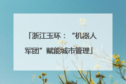 浙江玉环：“机器人军团”赋能城市管理