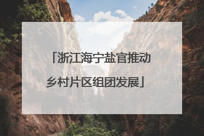 浙江海宁盐官推动乡村片区组团发展