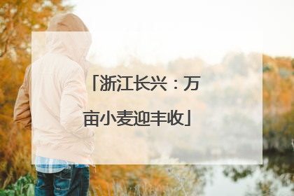 浙江长兴：万亩小麦迎丰收