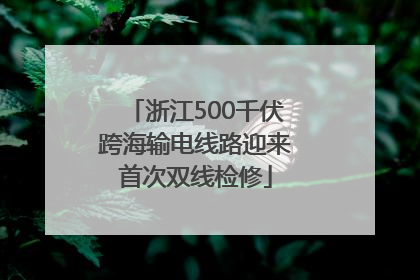 浙江500千伏跨海输电线路迎来首次双线检修