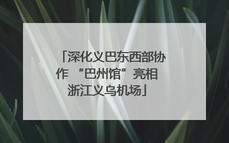 深化义巴东西部协作 “巴州馆”亮相浙江义乌机场