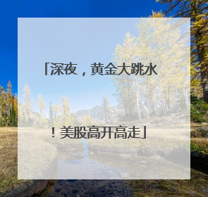 深夜，黄金大跳水！美股高开高走
