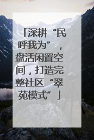 深耕“民呼我为”，盘活闲置空间，打造完整社区“翠苑模式”