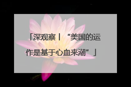 深观察丨“美国的运作是基于心血来潮”
