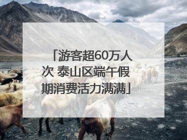 游客超60万人次 泰山区端午假期消费活力满满