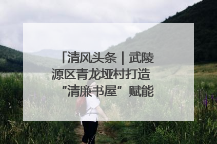 清风头条｜武陵源区青龙垭村打造“清廉书屋”赋能乡村振兴新风尚