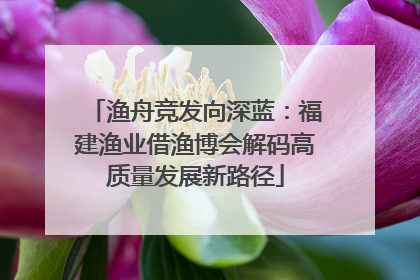 渔舟竞发向深蓝：福建渔业借渔博会解码高质量发展新路径