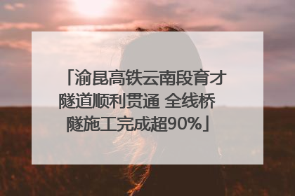渝昆高铁云南段育才隧道顺利贯通 全线桥隧施工完成超90%