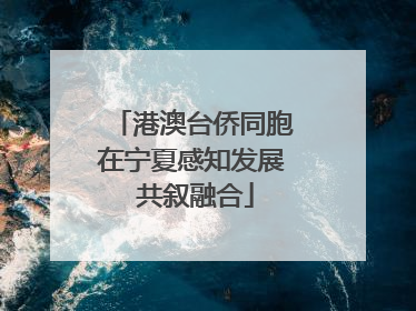 港澳台侨同胞在宁夏感知发展 共叙融合