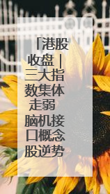 港股收盘｜三大指数集体走弱 脑机接口概念股逆势走强