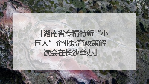 湖南省专精特新“小巨人”企业培育政策解读会在长沙举办